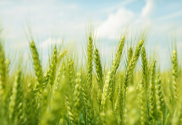 نحن متخصصون في البحث وتصنيع خطوط الإنتاج المخصصة التي تلبي الاحتياجات الفعلية للعملاء